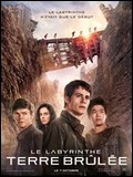 Le Labyrinthe : La Terre brle