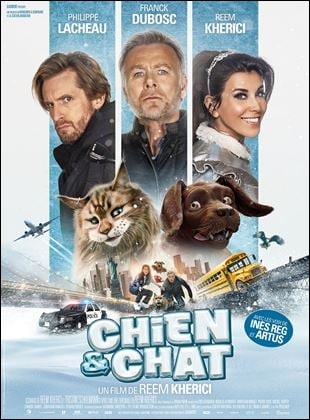 Chien et Chat