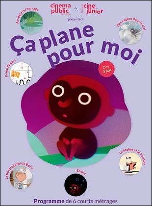 a plane pour moi