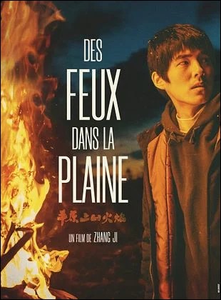 Des Feux dans la Plaine