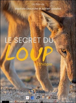Le Secret du Loup d��thiopie