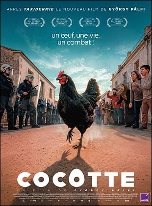 Cocotte