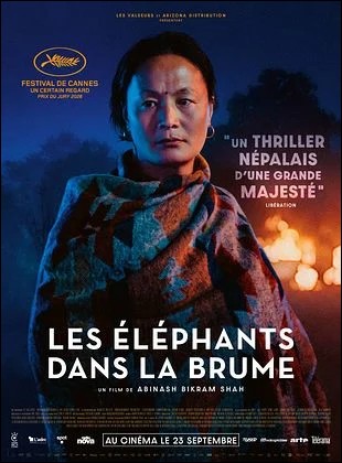 Les El�phants dans la brume