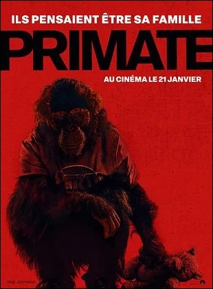 Primate