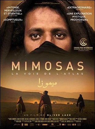 Mimosas, la voie de l�Atlas